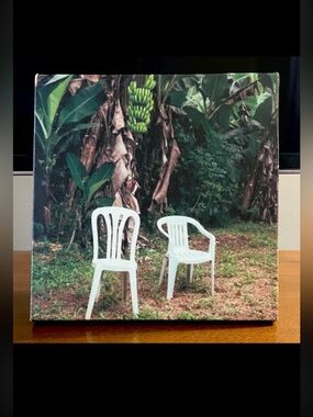 DTMF Cover Photo Canvas Wall Decor